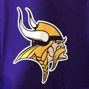 Minnesota Vikings Brett Favre #4 T-Shirt Reebok Men's Large Purple Cotton Tee